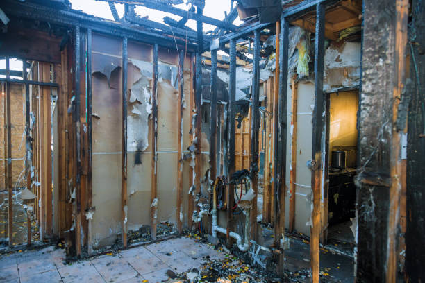 Professional Fire Damage Repair technician working in La Homa, TX